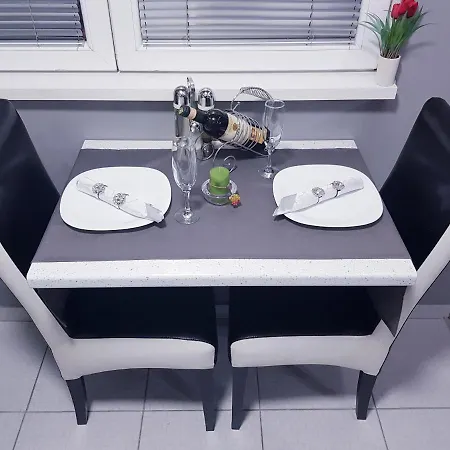 Savic Center - Parking Free 公寓 Ni