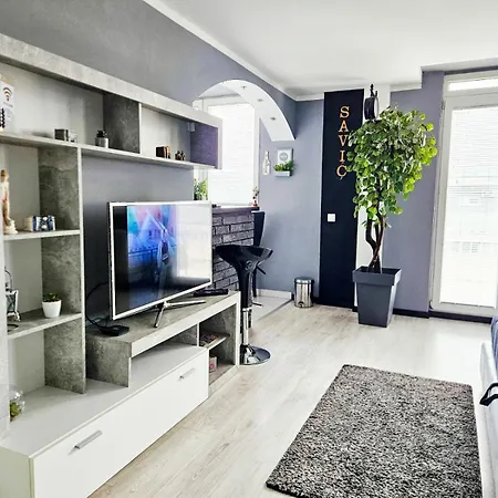 Apartment Savic Center - Parking Free Nis