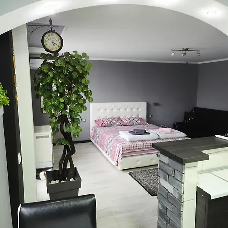 公寓 Savic Center - Parking Free *