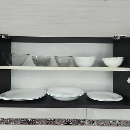 Savic Center - Parking Free 公寓